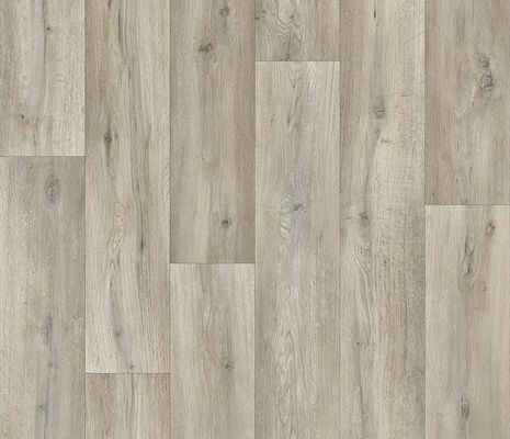 Silk Oak 147M